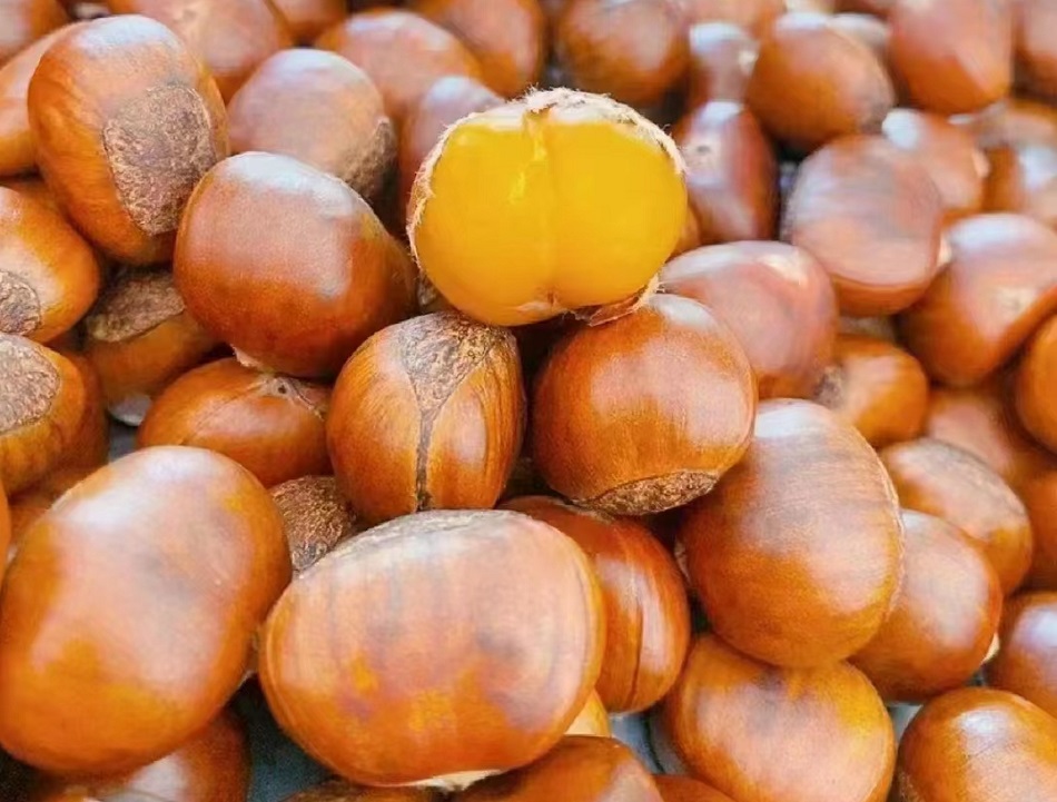 ؛C